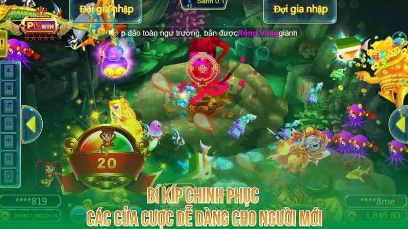 bi-kip-chinh-phuc-cac-cua-cuoc-de-dang-cho-nguoi-moi