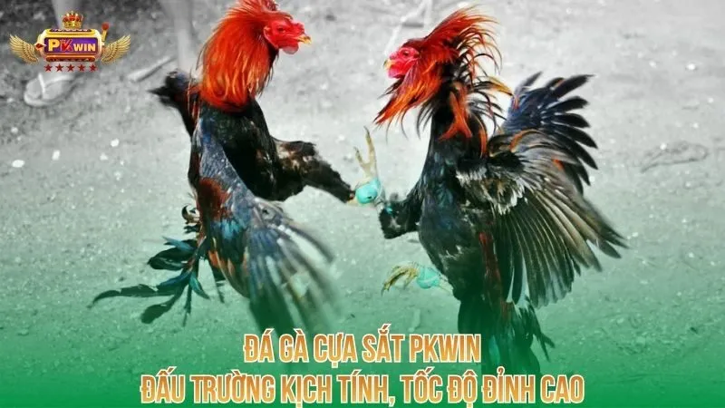 da-ga-cua-sat-pkwin-dau-truong-kich-tinh-toc-do-dinh-cao