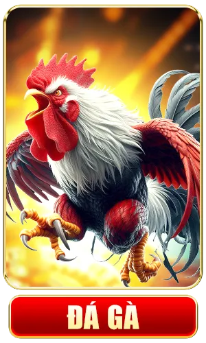 Đá Gà PKWIN