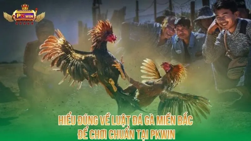 hieu-dung-ve-luat-da-ga-mien-bac-de-choi-chuan-tai-pkwin
