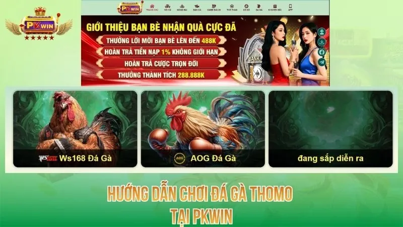 huong-dan-choi-da-ga-thomo-tai-pkwin
