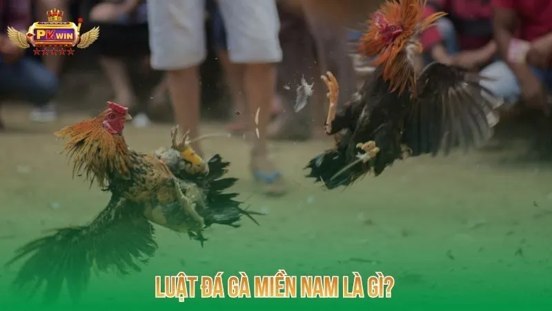 luat-da-ga-mien-nam-la-gi