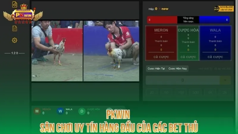 pkwin-san-choi-uy-tin-hang-dau-cua-cac-bet-thu