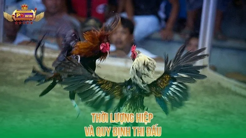 thoi-luong-hiep-va-quy-dinh-thi-dau