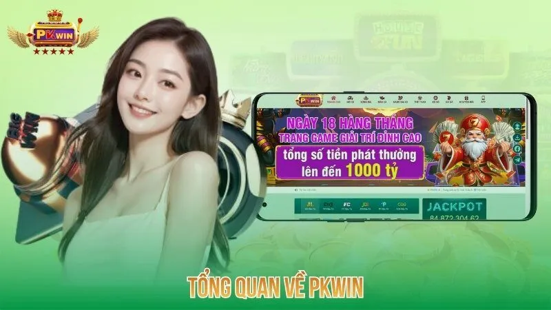 Tổng quan về PKWIN