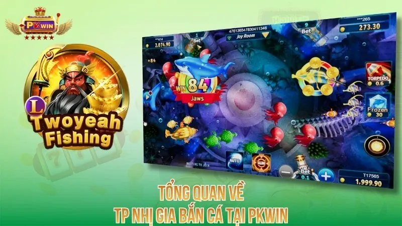 tong-quan-ve-tp-nhi-gia-ban-ca-tai-pkwin